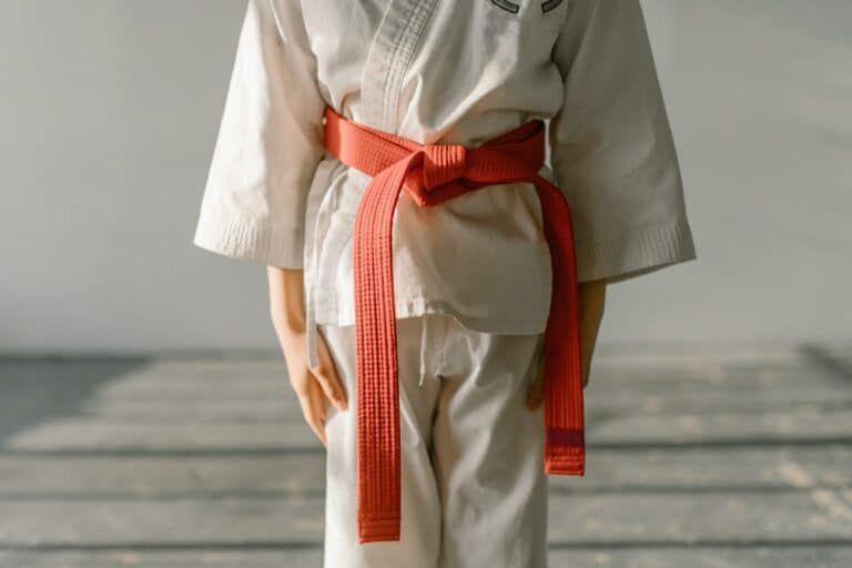Zen and the Business of the Martial Arts